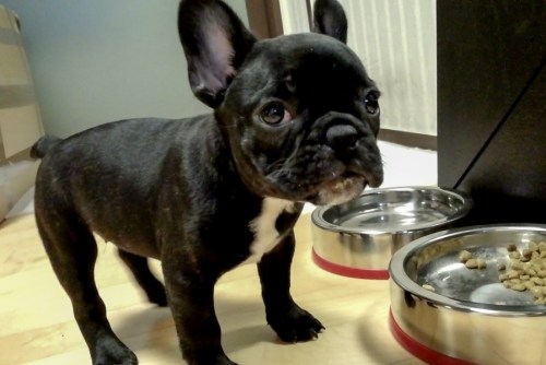 Screenshot_2013-04-29-18-43-20